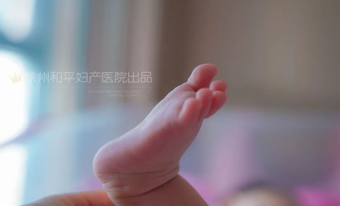 国内第一批丁克家庭,现在怎么样了?(图3) 国内第一批丁克家庭,现在怎么样了?(图3)